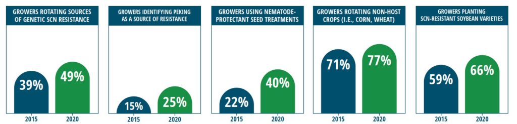 SCN survey results 2020