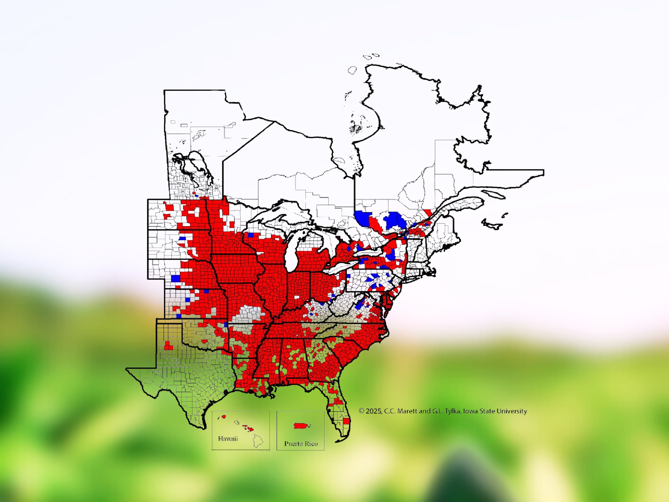 A map showing soybean cyst nematode distribution. The background is a blurry photo of soybeans.